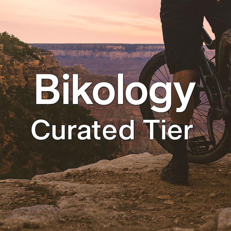 Tier 2 - Curated